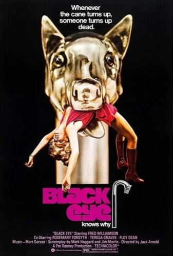 Theatrical Poster