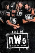 The Best Of WWE: The Best Of NWO