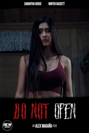 Theatrical Poster