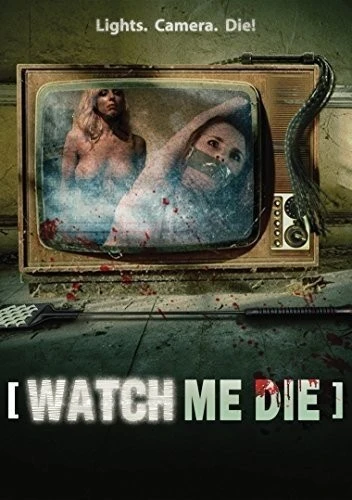DVD Cover (TomCat Films)