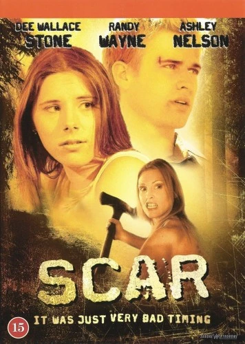 DVD Cover (Denmark)