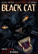 Black Cat