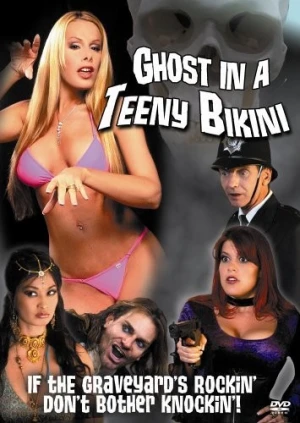 DVD Cover (Retromedia)