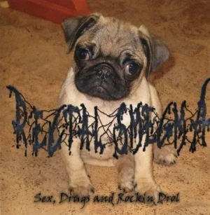 Sex, Drugs and Rock'n Drol / Excremental Lesbophonic Putremageddon