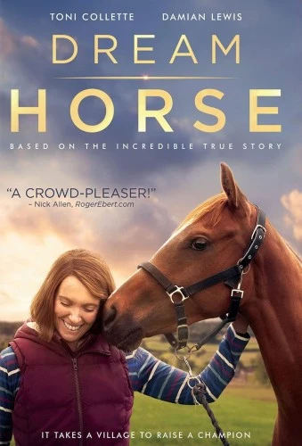 DVD Cover (Universal)