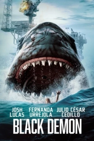 DVD Cover (Allied Vaughn)