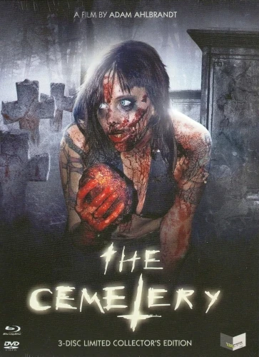 Blu-Ray Cover (Massacre Video)