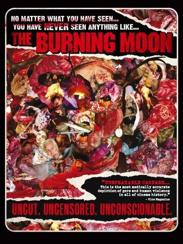 DVD Cover (MVD Visual)