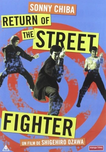 DVD Cover (France)