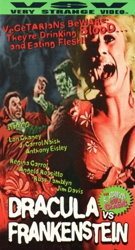 VHS Cover (Very Strange Video)