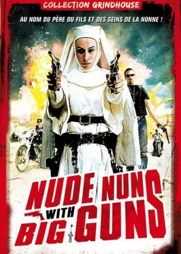 DVD Cover (France)