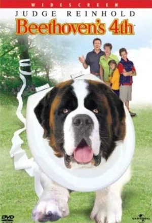 DVD Cover (Universal)
