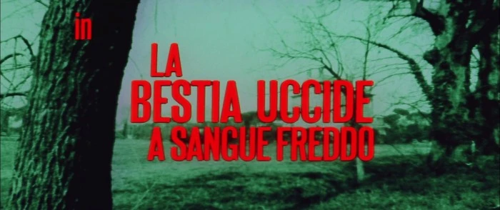 Title Card