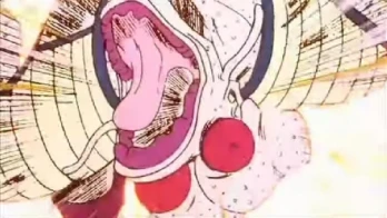 Face-Off on Namek