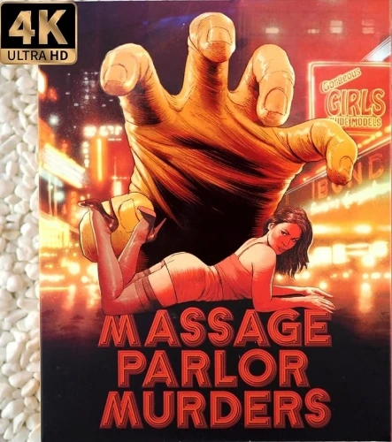 Blu-Ray Cover (Vinegar Syndrome)