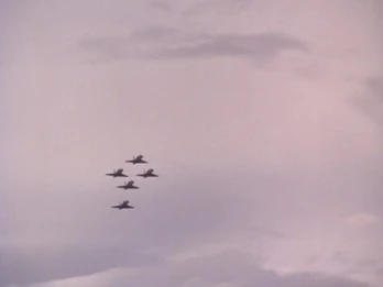 Eagles