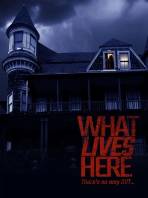 DVD Cover (MVD Visual)