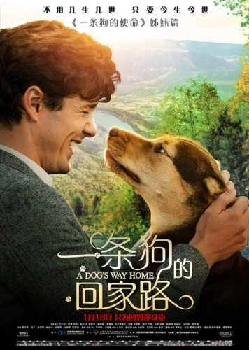 Theatrical Poster (Japan)