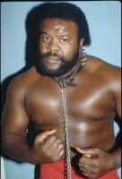 The Junkyard Dog