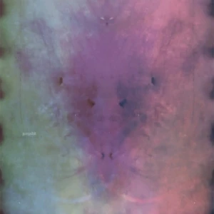 Sedatives, Vol. 2