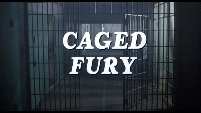 Title Card