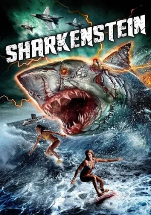DVD Cover (Wild Eye Releasing)