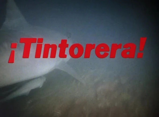 Title Card