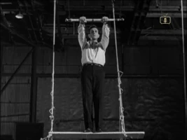The Aerialist