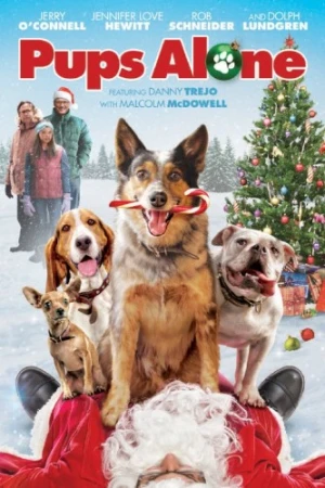 DVD Cover (Paramount)
