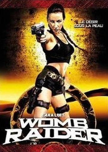 DVD Cover (France)