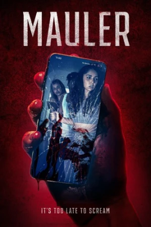 Theatrical Poster