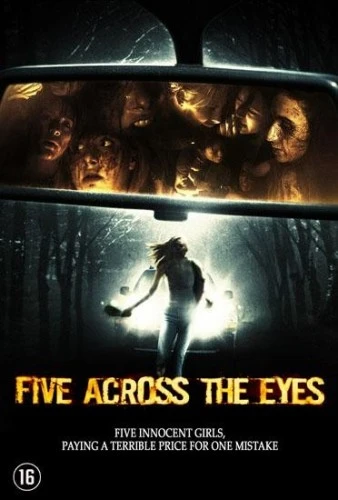 DVD Cover (Germany)