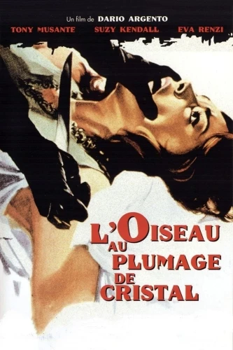 DVD Cover (France)
