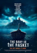 The Baby In The Basket