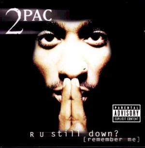 R U Still Down? (Remember Me)