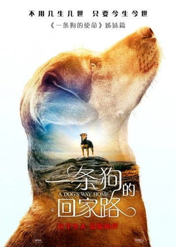 Theatrical Poster (Japan)