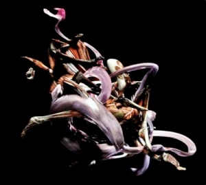 Mykki Blanco Present C-ORE