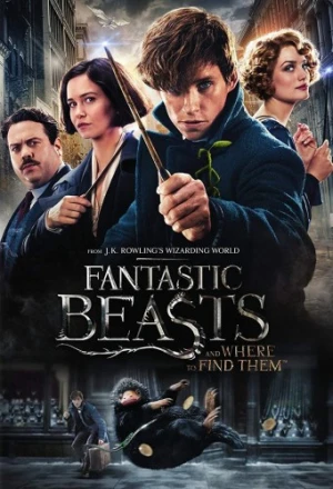 DVD Cover (Warner Brother)