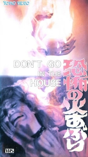 VHS Cover (Japan)