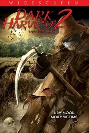 DVD Cover (Lions Gate)