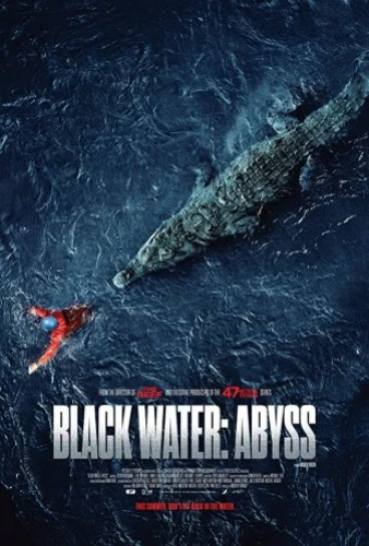 Theatrical Poster (USA)