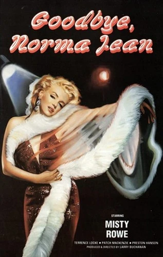 VHS Cover (Netherlands)