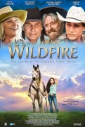 Wildfire: The Legend Of The Cherokee Ghost Horse