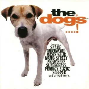 The Dog’s …!