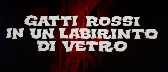 Title Card