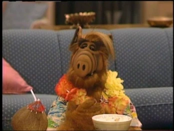 Somewhere Over the Rerun