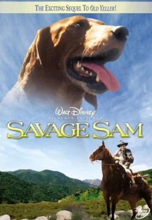 DVD Cover (Walt Disney Studios)