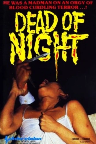 VHS Cover (Intervision Video)