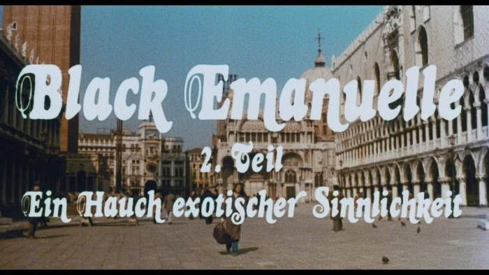 Title Card