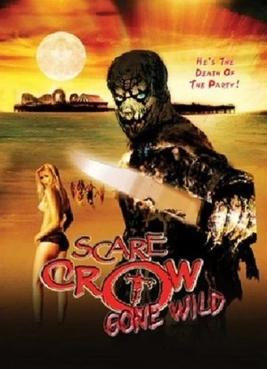 DVD Cover (York Entertainment)